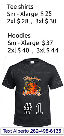 # 1 Hawks